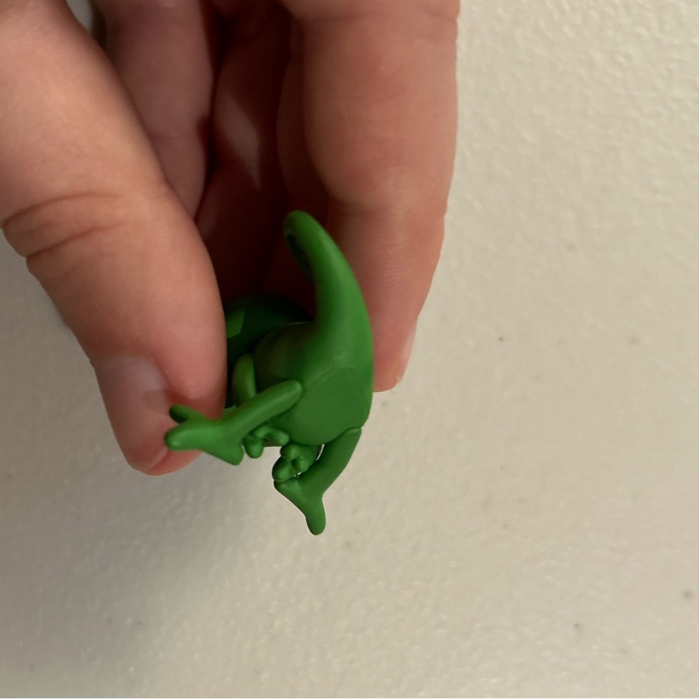 Sleeping pascal - Picture 5 of 5